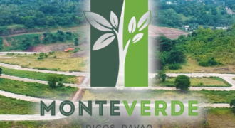 Monteverde Residential Lot Digos